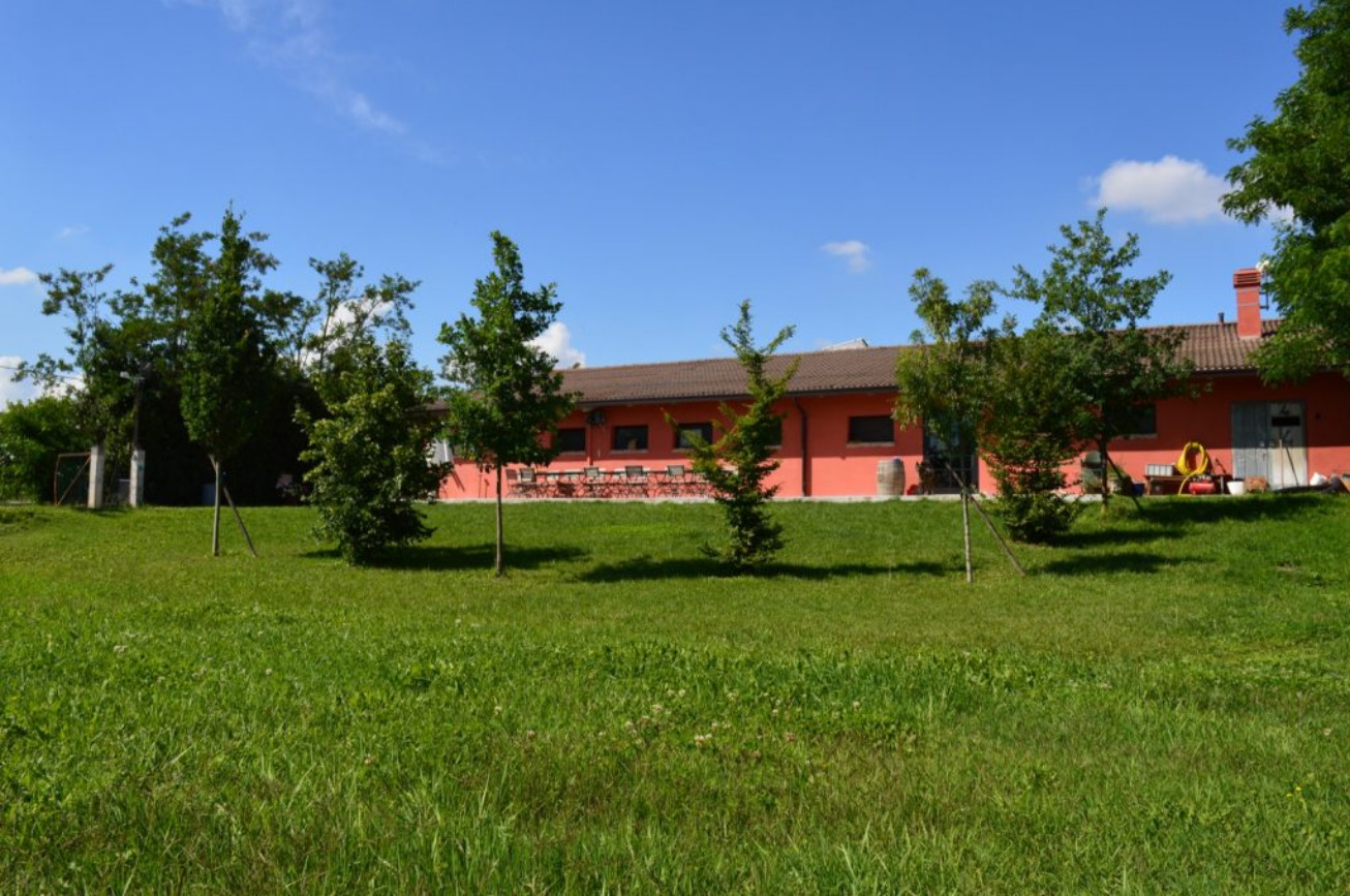 AZIENDA AGRICOLA TRE GATTI