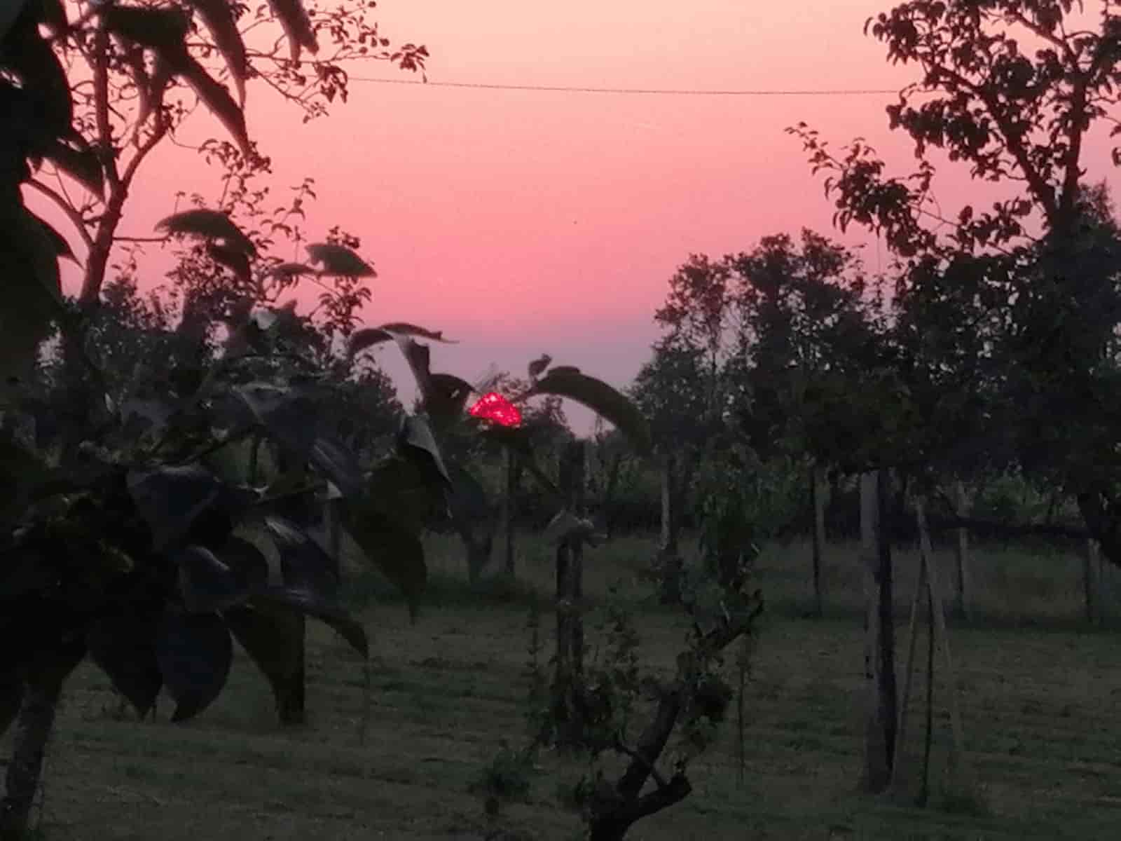 Tenuta Miamal Photo 3